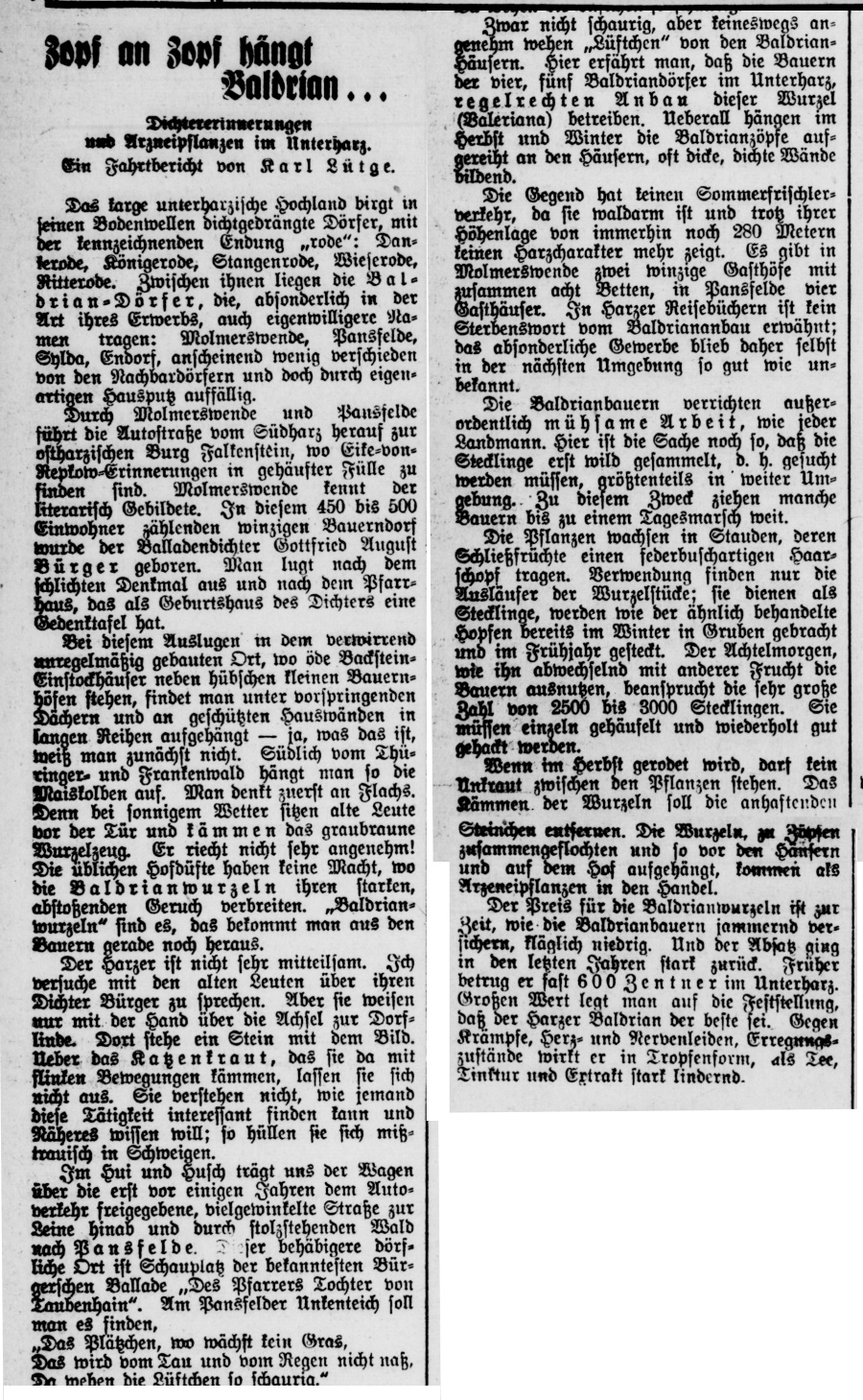 Hildener_Rundschau_25_01_1934