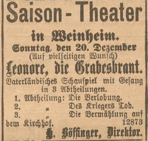 1885 Badische Volks-Zeitung 20 12